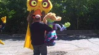 Madcap Puppets Chicken Dancing