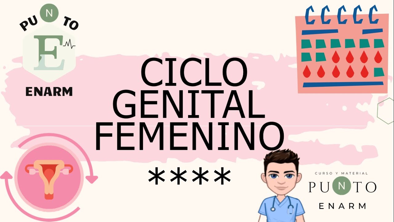 CICLO GENITAL FEMENINO. ENARM