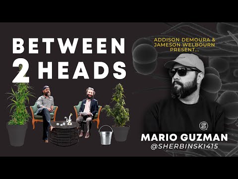 Between2Heads - Episode 8: Mario Guzman of Sherbinskis