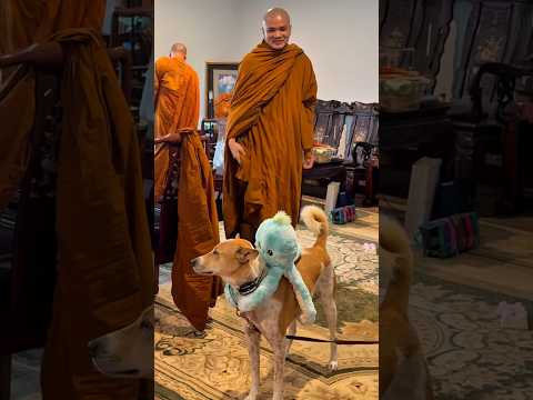 Aloka and Buddhist monk.