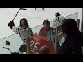 Michigan Senior Women's Hockey League