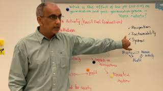 IB ESS IA First Exams 2026