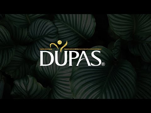 Unveiling The All New Range of DUPAS Liquid Soaps!