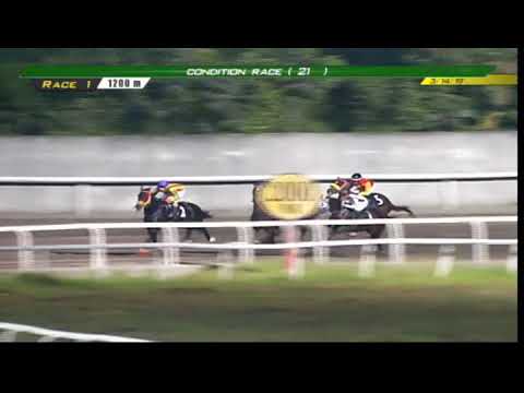 PRCI Race 1 - March 14, 2019