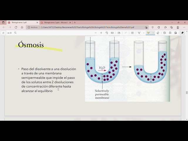 Vídeo relacionado con Biología. 2.º Bachillerato (LOMLOE)
