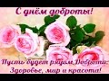 Всемирный день доброты 2016 