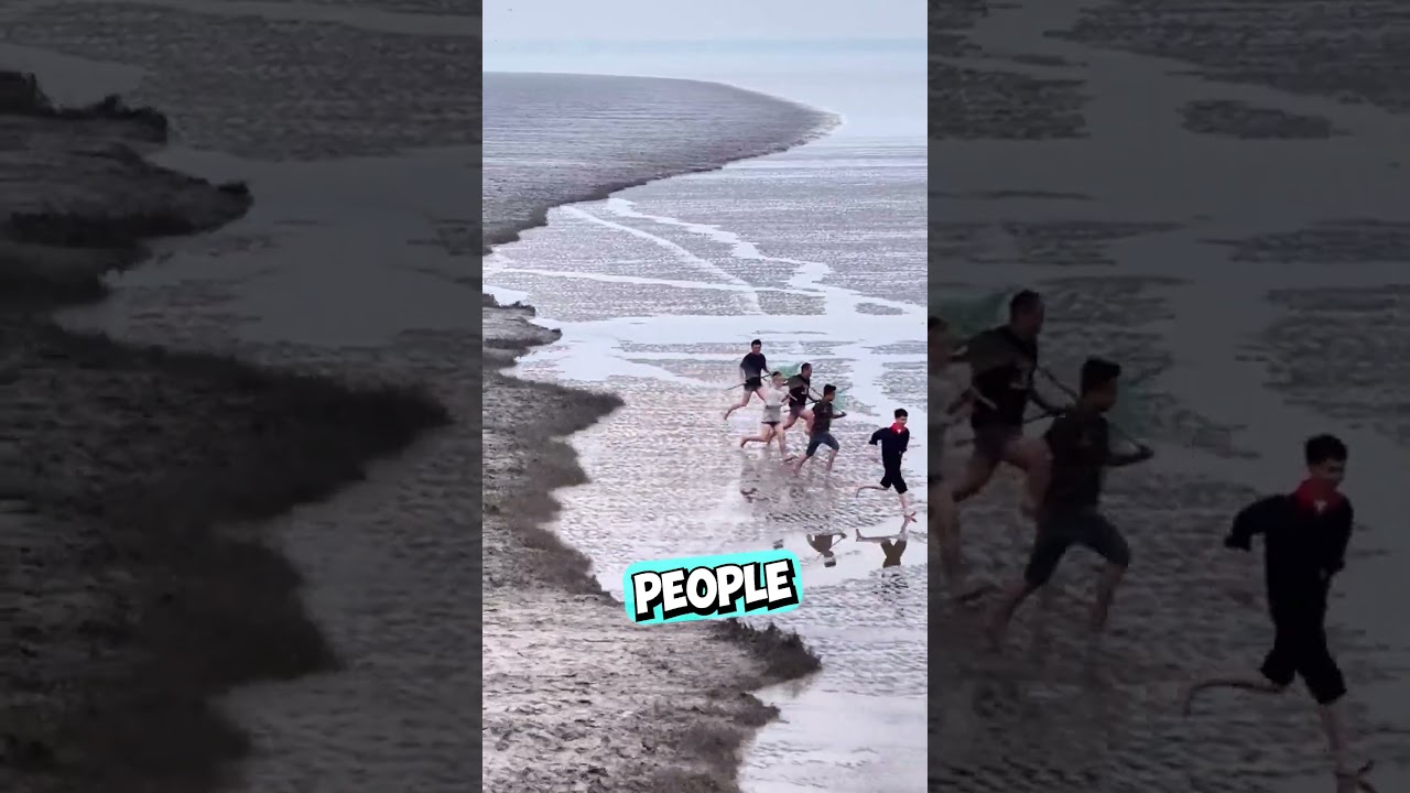 The Most Confusing Video Ever 😳 #shorts