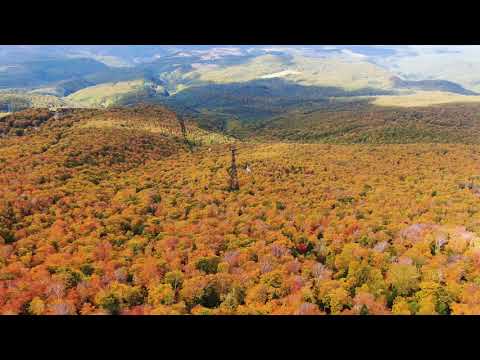 Mt.Hakkoda / Aomori in Autumn