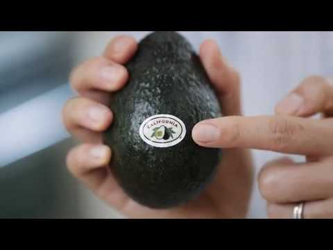 download lagu mp3 mp4 Avocado Season In India, download lagu Avocado Season In India gratis, unduh video klip Avocado Season In India