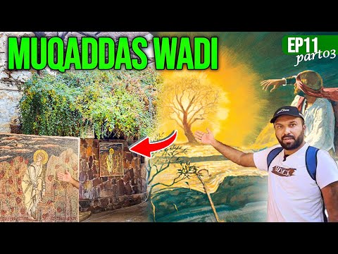 Tree 🌳 where Moses AS Met Allah SWT - Burning Bush At St. Catherine Egypt 🇪🇬