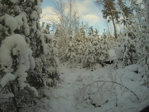 Nyt löyty syy miksi ei singaalia löydy