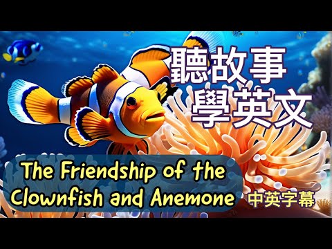 小丑魚和海葵的友誼｜短篇英文故事｜中英字幕｜聽故學英語｜英文習作 (小丑魚和海葵的友誼｜短篇英文故事｜中英字幕｜聽故事學英語｜英文學習)