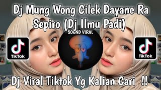 Download lagu DJ ILMU PADI | MUNG WONG CILIK DAYANE RA SEPIRO RESTIANADE VIRAL TIKTOK 2024 !! mp3
