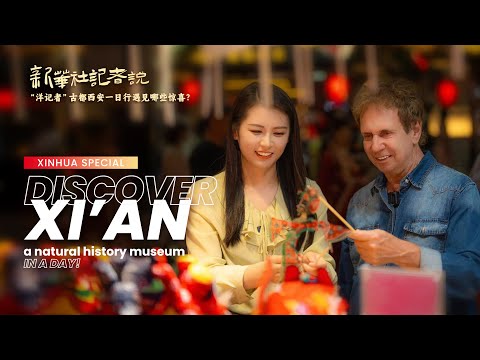 Especial Xinhua: Descubra Xi'an, um museu de história natural, em um dia!