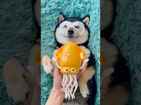 ASMR | Manyu Care SPA - Let’s Relax Together