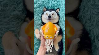 Download lagu ASMR | Manyu Care SPA - Let’s Relax Together mp3