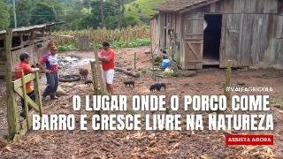 Miniatura do vídeo
