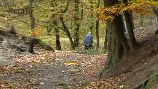 preview picture of video 'Colours of Autumn in Bohemian Eden, Czech Republic'