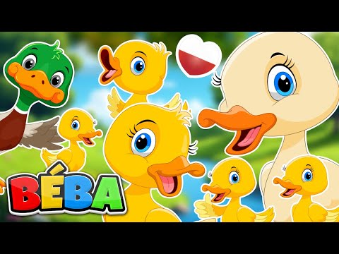 Pięć małych kaczątek | Pięć małych małpek | Piosenky dla dzieci po polsku | BÉBA
