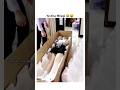 Shorts Webseries Ullu Webseriesullu Ulluhot Ulluwebseries Webserieshot Hotullu Hot Reels