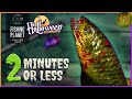 How To Catch The Tyrannotrout In 2 MINUTES OR LESS Fishing Planet