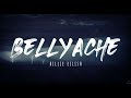 Billie Eilish Bellyache Lyrics 1 Hour