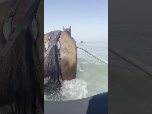 Pension de passage proche mer 