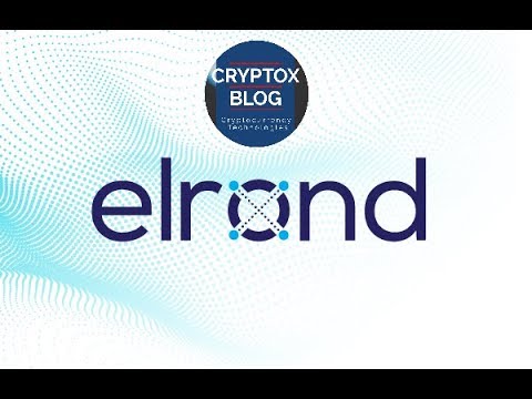 What is the purpose of the project is Elrond Network?