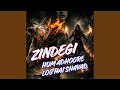 Zindegi Hum Adhoore Log Hai Shayad