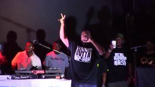 Chubb Rock @ Wingate Park Concert Series 2017