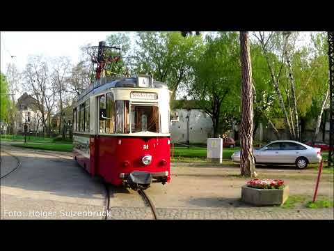 Mit Takt in die Stadt, die wilde Zicke bringt Naumburger und Gäste in die historische Altstadt.
