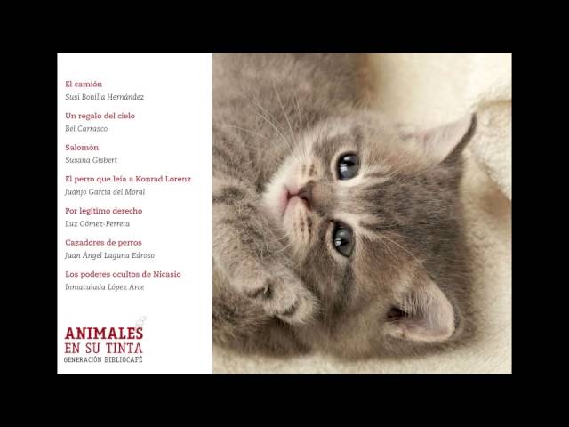 Vídeo relacionado con Animales en su tinta: 21 relatos sobre el mundo de las mascotas