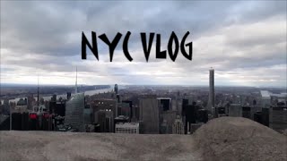 preview picture of video 'NYC Vlog!'