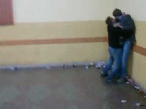 puroi si calman din Parcovaci