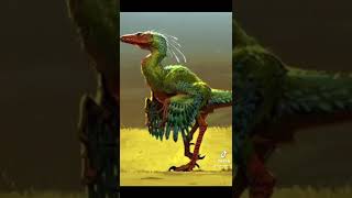 Feathered Dinosaurs | Paracific #shorts