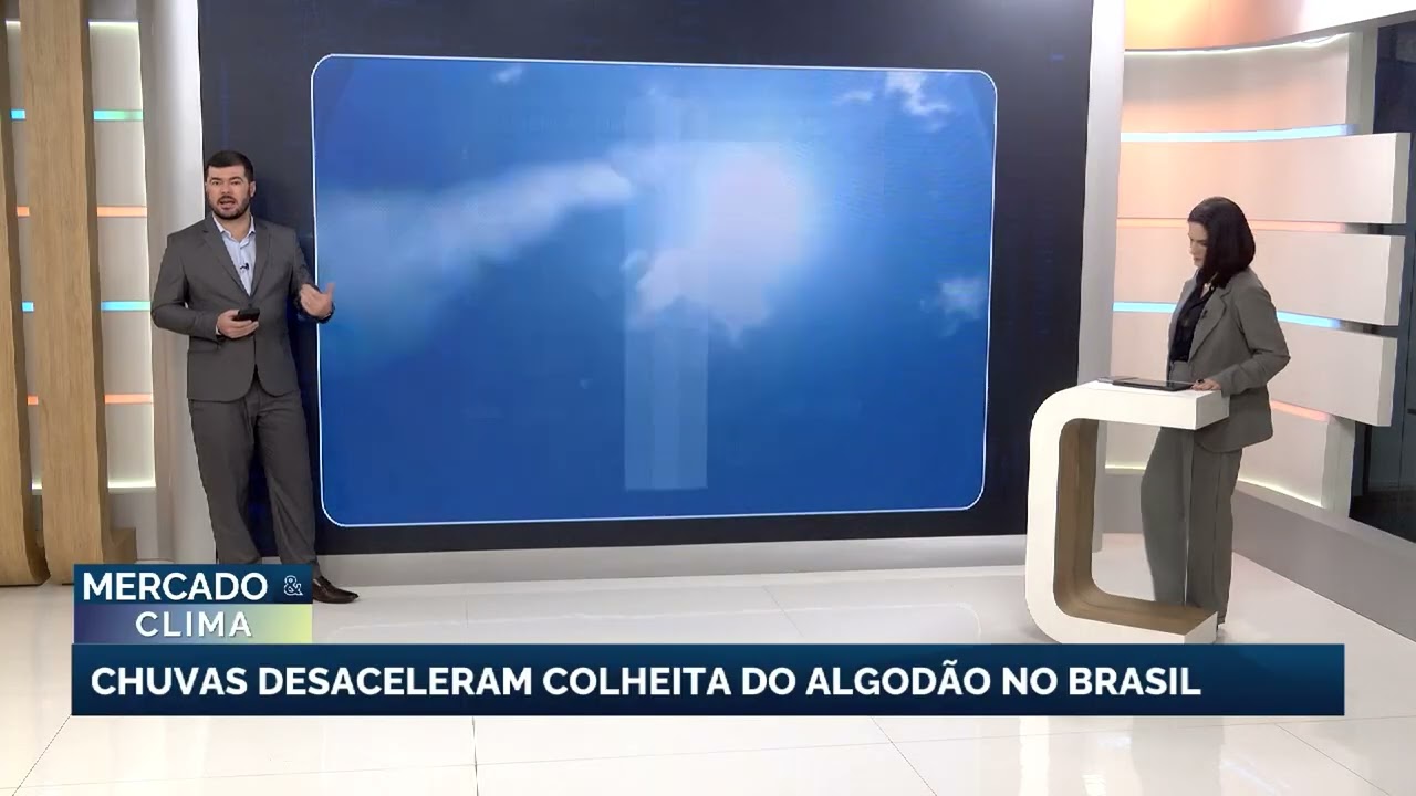 Chuvas desaceleram colheita do algodão e alerta para temporais e granizo no Sul