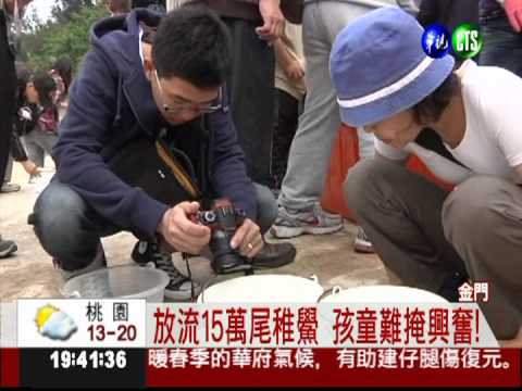 保育生態大作戰! 放流15萬稚鱟