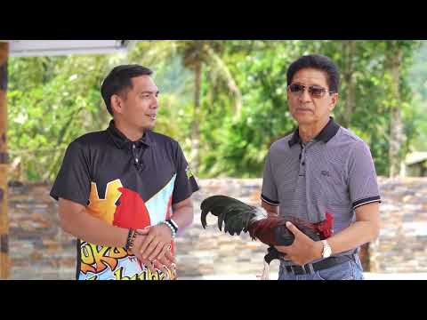 FARM VISIT: ART LOPEZ of ARL Integrated Farm.