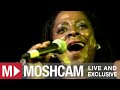 Sharon Jones & The Dap-Kings - 100 Days, 100 ...