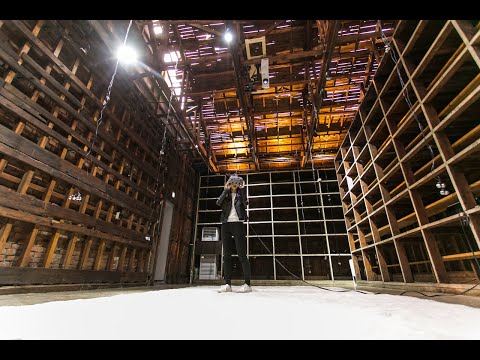 Artificial Nature: Conservation Of Shadows 2017