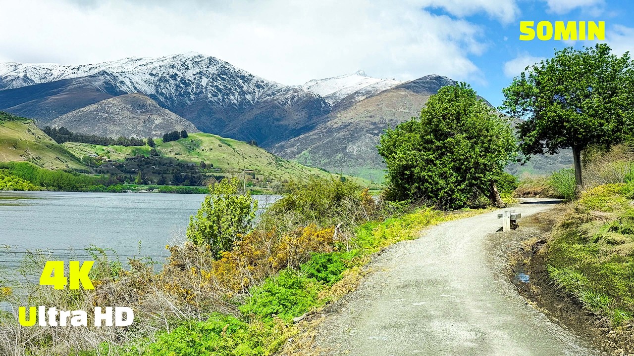 Virtual Run 4k - 50 Minute Treadmill Workout Scenery Hayes Lake - New Zealand
