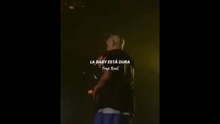 SENSUALIDAD | Bad Bunny 👁️