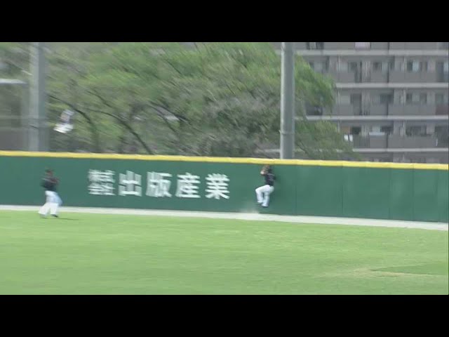 【ファーム】マリーンズ・菅野 フェンスにぶつかりながらもジャンピングキャッチ!! 2021/5/25 L-M(ファーム)