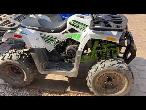 2021 TaoTao Raptor 200 ATV Review