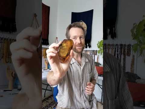 what is amber?? Nature's best fossils!! find out here!!