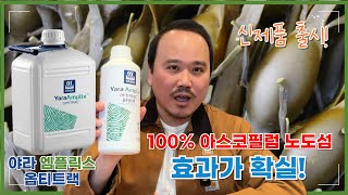 가뭄, 습해, 냉해, 제초제, 일소피해를 해결하는 야라엠플릭스 옵티트랙, 추천합니다 | 100% 아스코필럼 …
