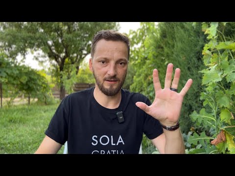 Seria “glosolalia”: “taine“ în limbi