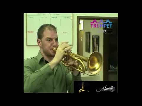 Adam Rapa - Flight of the Bumblebee!