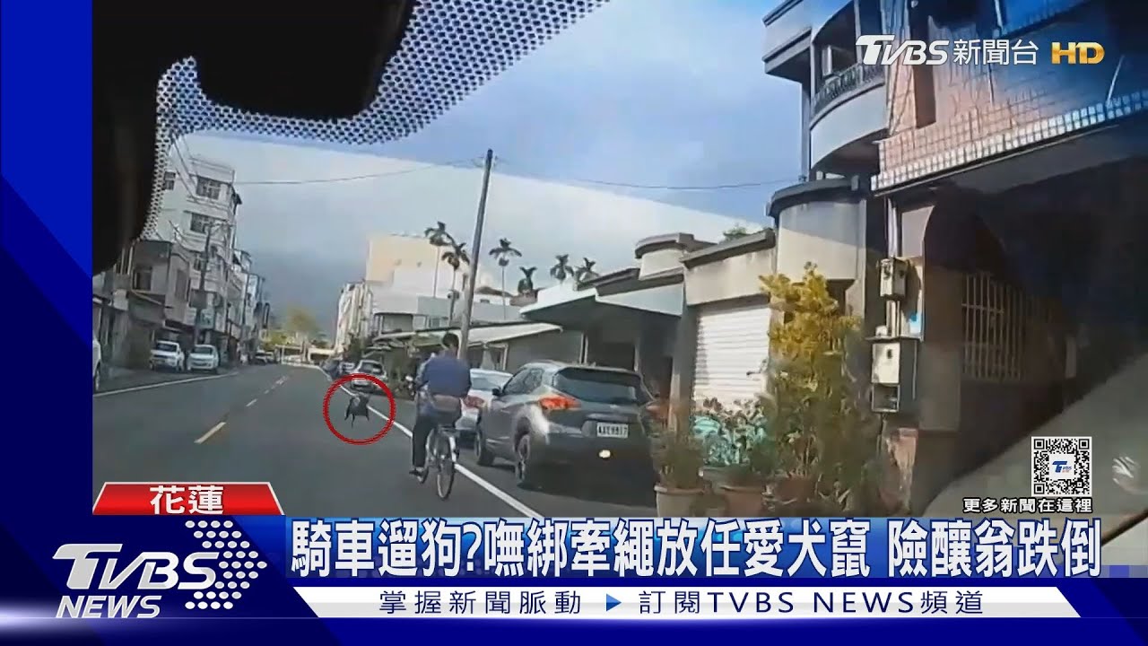 騎車遛狗？嘸綁牽繩放任愛犬竄　險釀翁跌倒