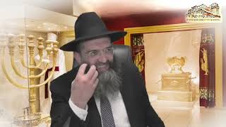 הרב ליאור גלזר פרשת משפטים ויקהל תשפ"ד רב מקדים הרב שמעון מועלם